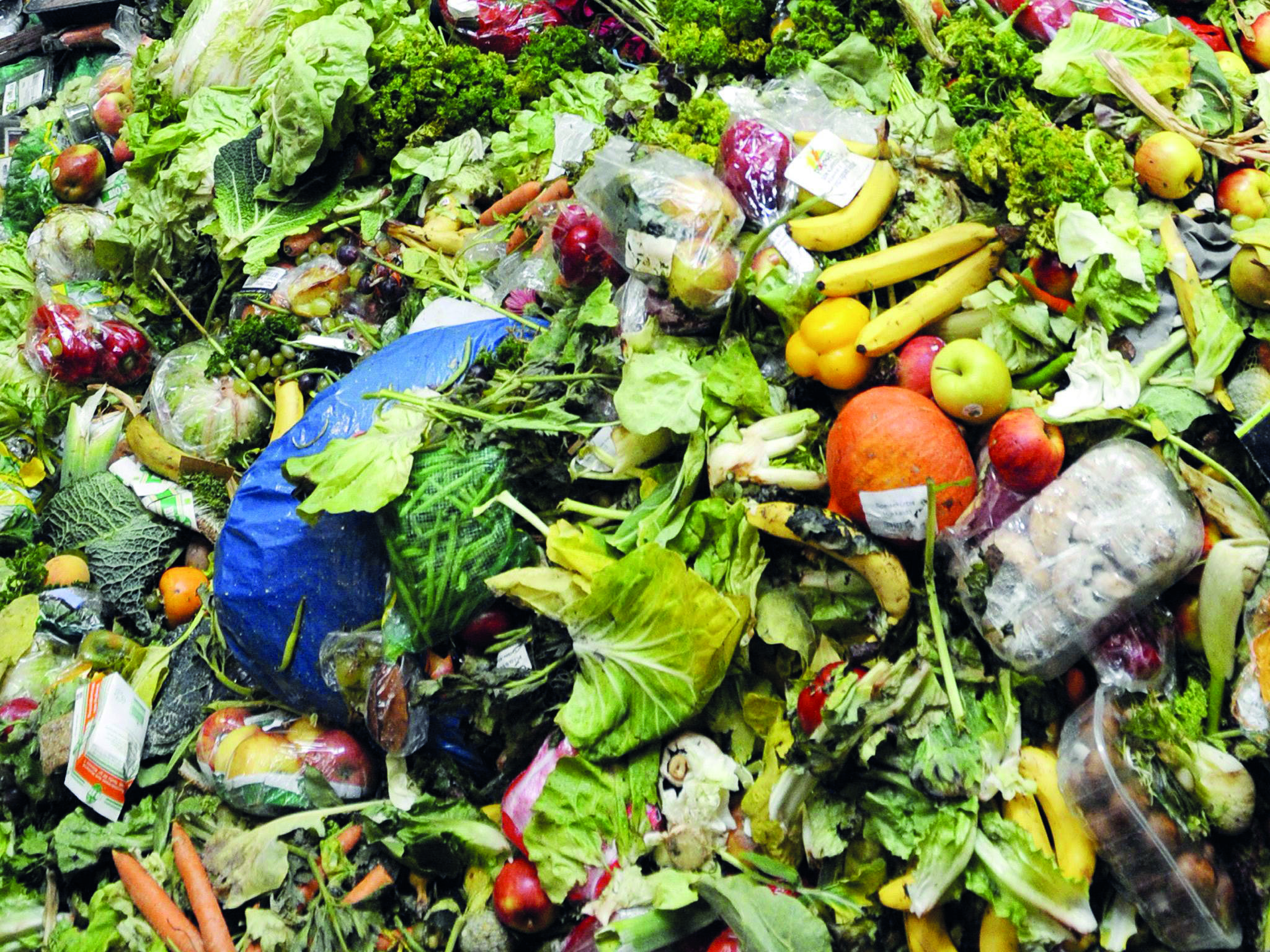 Ogni anno una famiglia spreca 85 kg di cibo