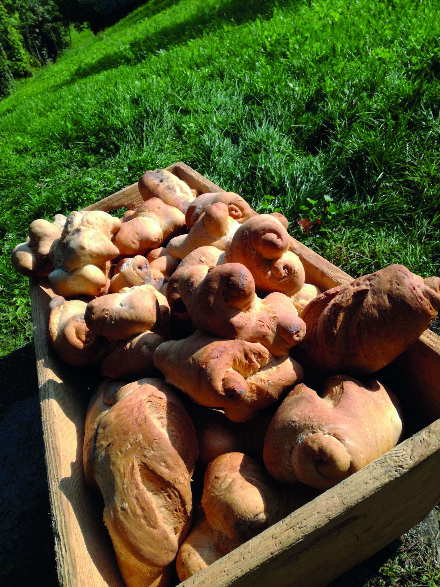 Il pane buono che fa del bene