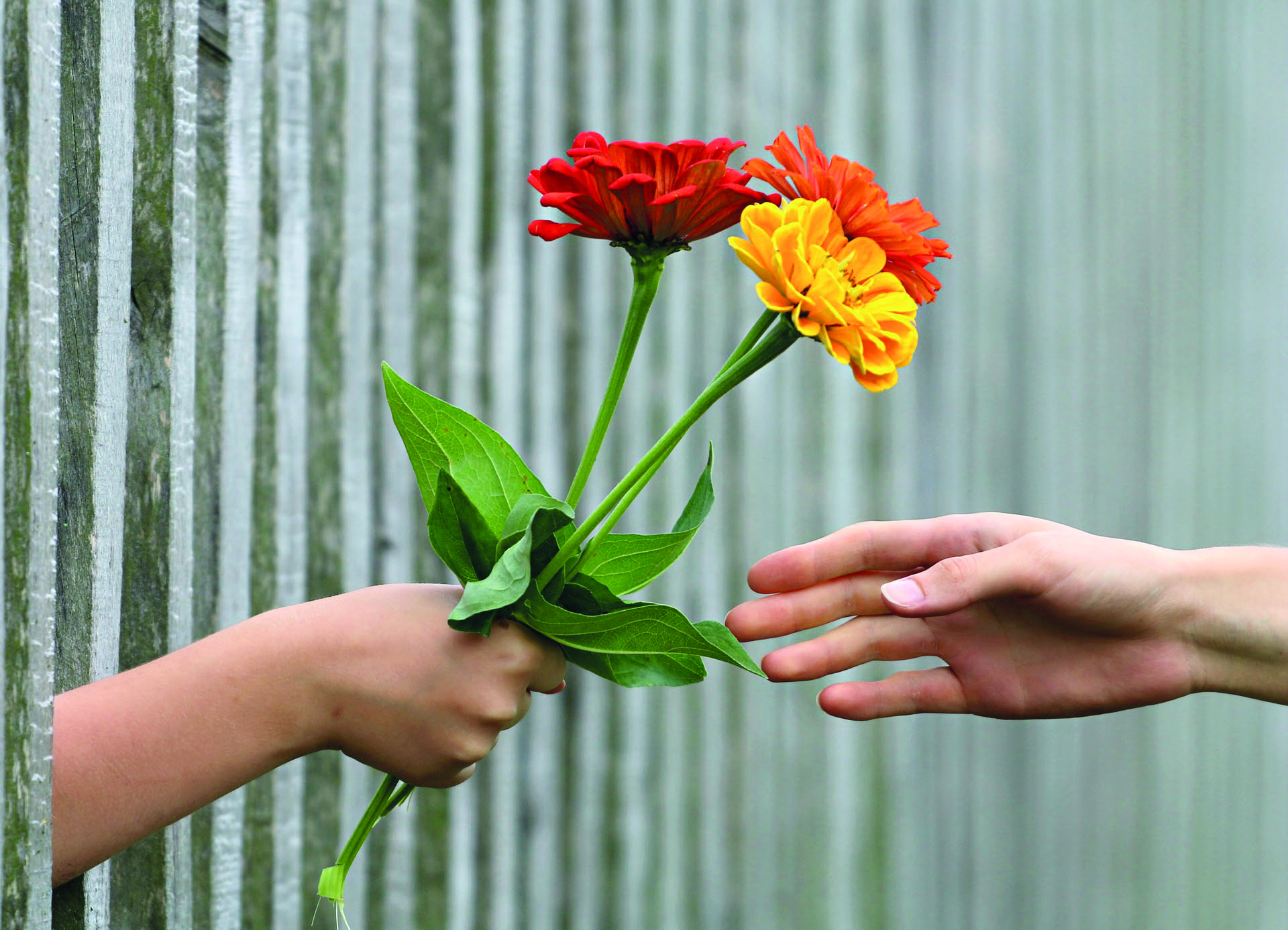 La gentilezza, antidoto all’idolatria dell’individuo