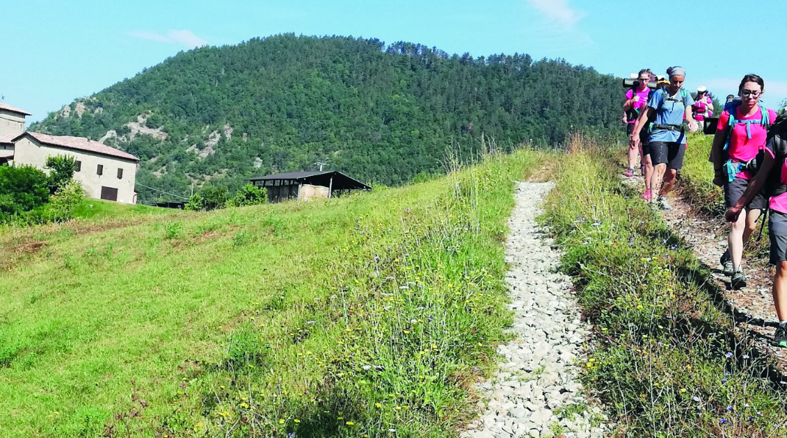 Natura, Parola e bellezza  Ecco Risorgenti 2.0
