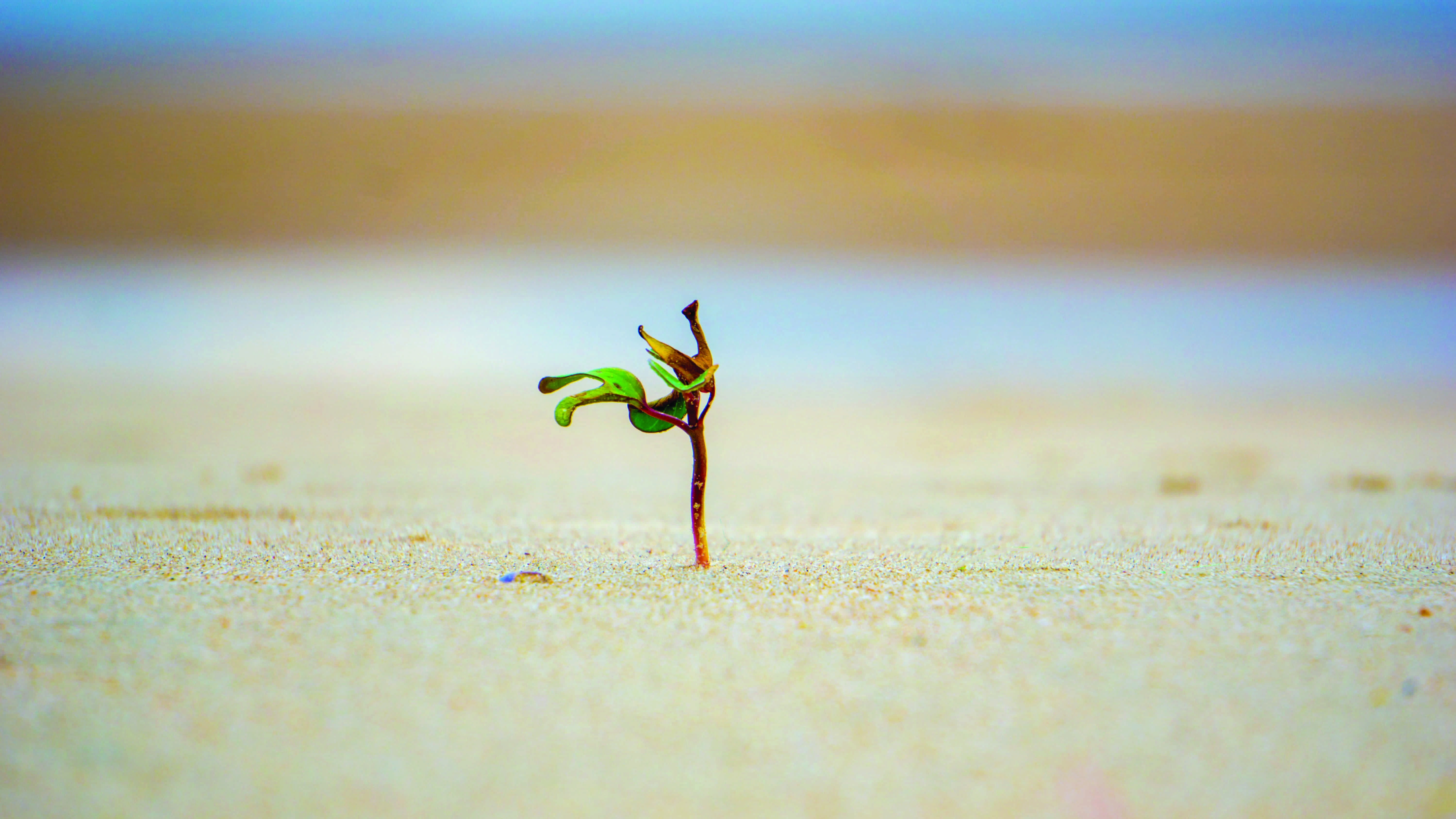 La durezza dell’Avvento per risvegliare la speranza più vera