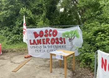 “Giù le mani dal bosco dei Ferrovieri”. Così la Tav ferisce l’ambiente