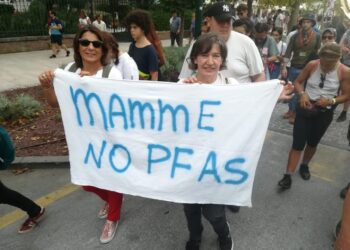 Mamme No Pfas, una voce paziente ma determinata