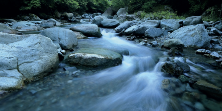 Giornata Mondiale dell’Acqua