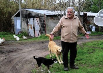 Un modo idiota di complicarsi la vita