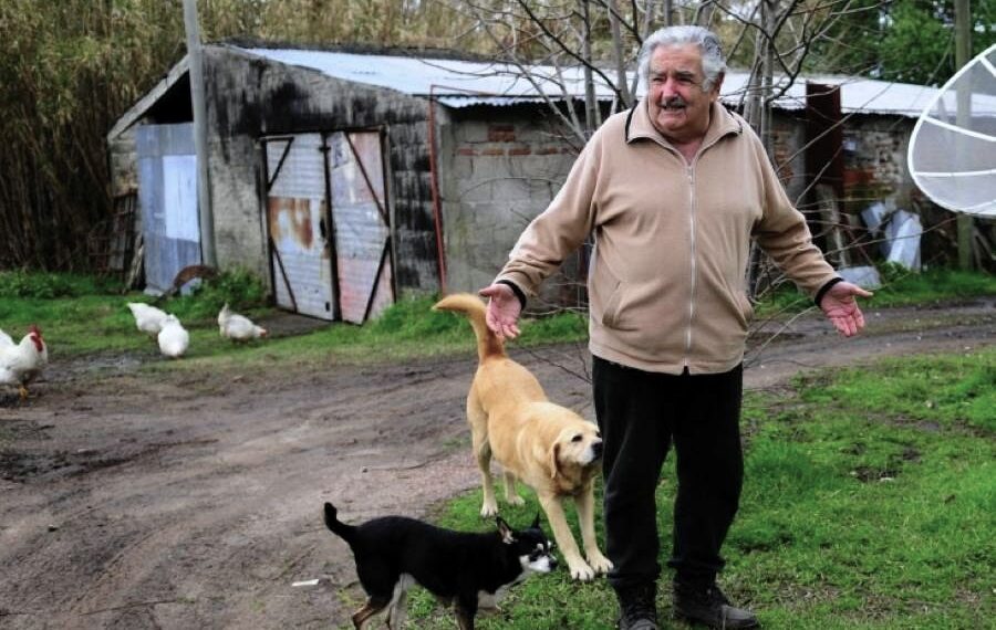 Un modo idiota di complicarsi la vita