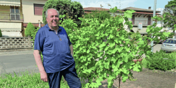 Don Lino Smiderle in “pensione” torna a Monte di Malo