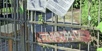 Marcia indietro della Tav sul Bosco Lanerossi