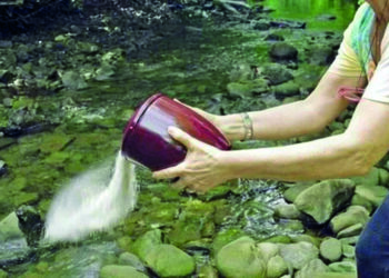 Cremati e disciolti nel Retrone?  Anche no, grazie!