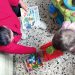 Vicenza, famiglie con bambini tra i senzatetto dell’Albergo cittadino. «Serve un’altra soluzione»