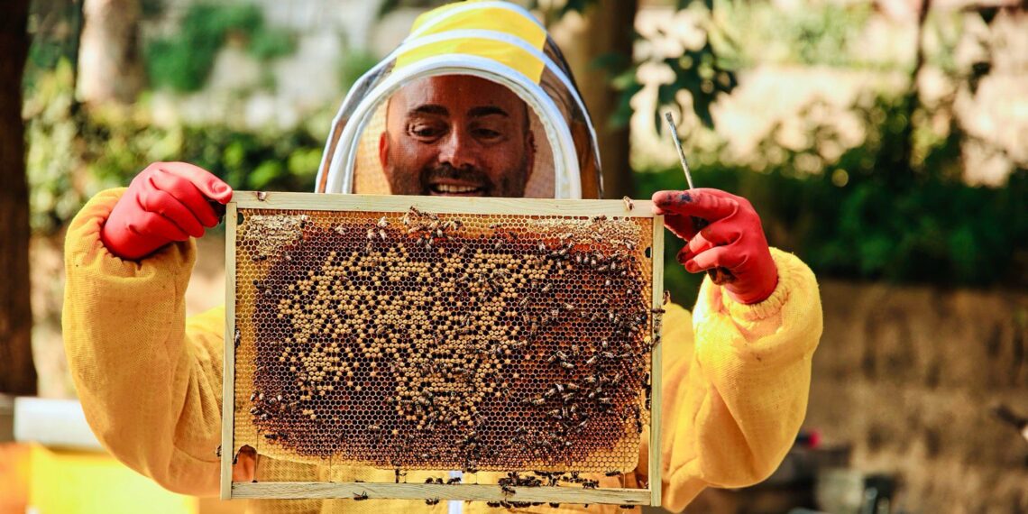 Così il lavoro delle api insegna a fare “team building” aziendale