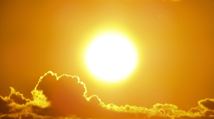 Ondate di calore e crisi climatica, Paolo Vidali: “L’emergenza ambientale è la sfida più grande dell’umanità”