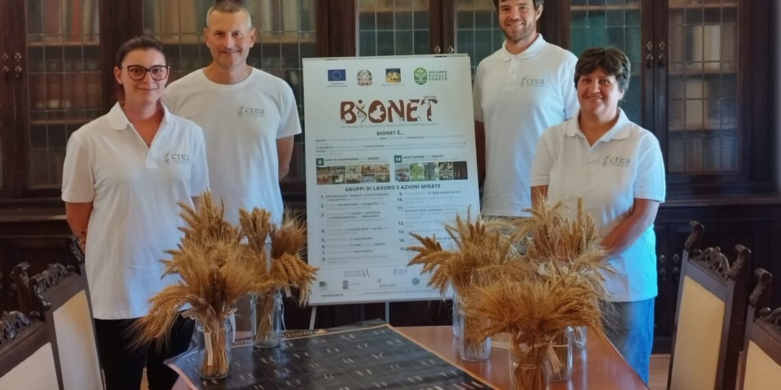 A Lonigo vengono conservati i semi antichi che preparano l’agricoltura del futuro