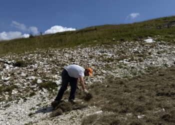 Dalle frane alle ex cave: così il Veneto recupera i terreni degradati con la biodiversità