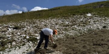 Dalle frane alle ex cave: così il Veneto recupera i terreni degradati con la biodiversità